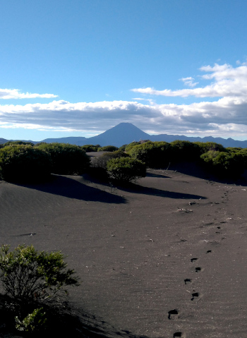 Национальный парк Тонгариро