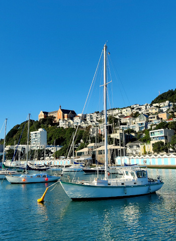 Веллингтон