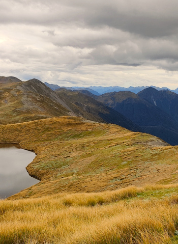 Южные Альпы