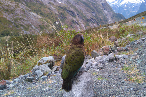 Западное побережье