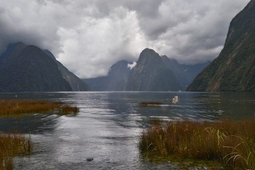 Милфорд Саунд