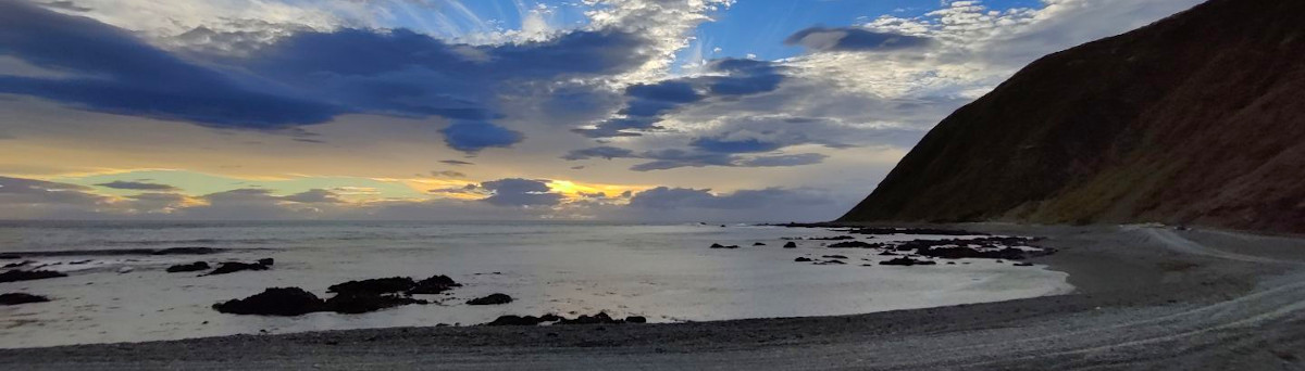 Южное побережье Веллингтона