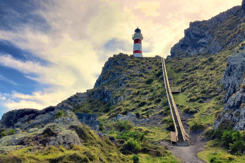 мыс Паллисер