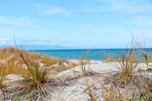 Западное побережье