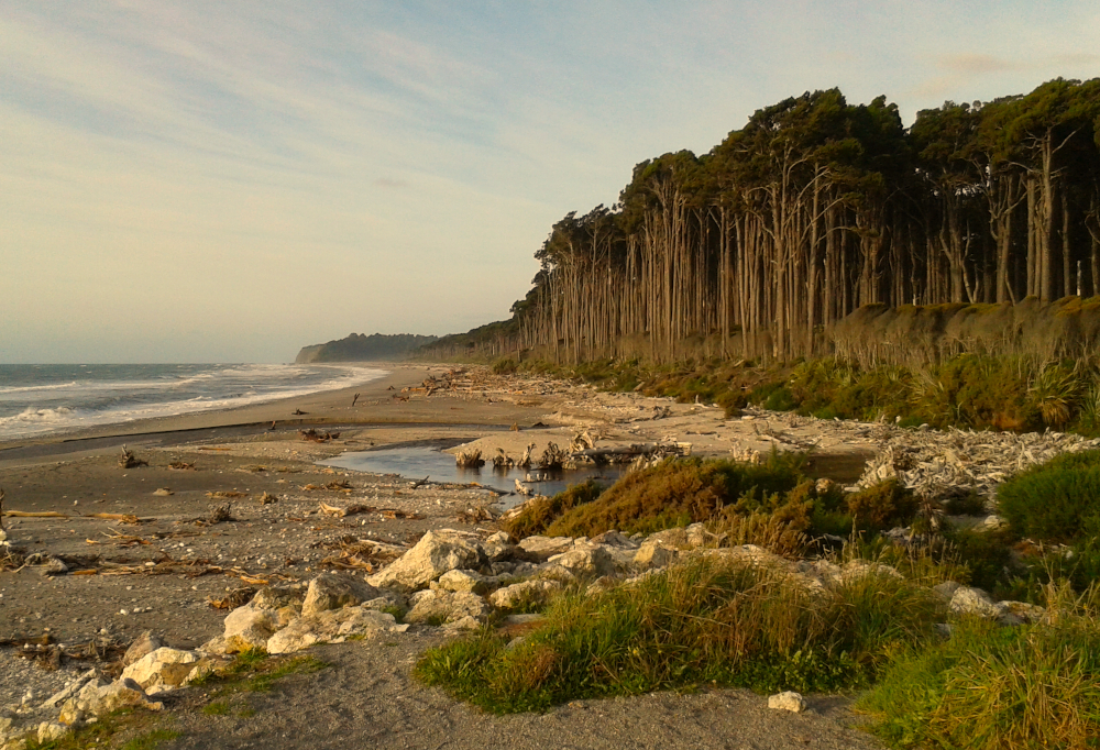 Новая Зеландия: следуя за ветром